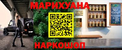 трава Бийск