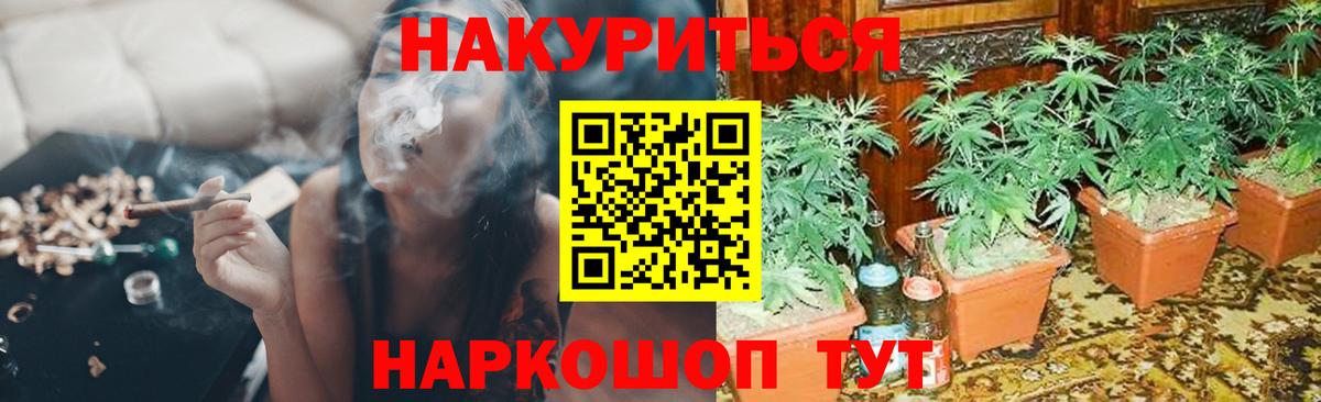Марихуана LSD WEED  Вход с VPN  Марихуана план  Шишки марихуана Amnesia  Владимир 